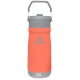 The IceFlow Flip Straw Water Bottle